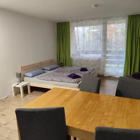 Ferienapartment Hansi Sankt Englmar